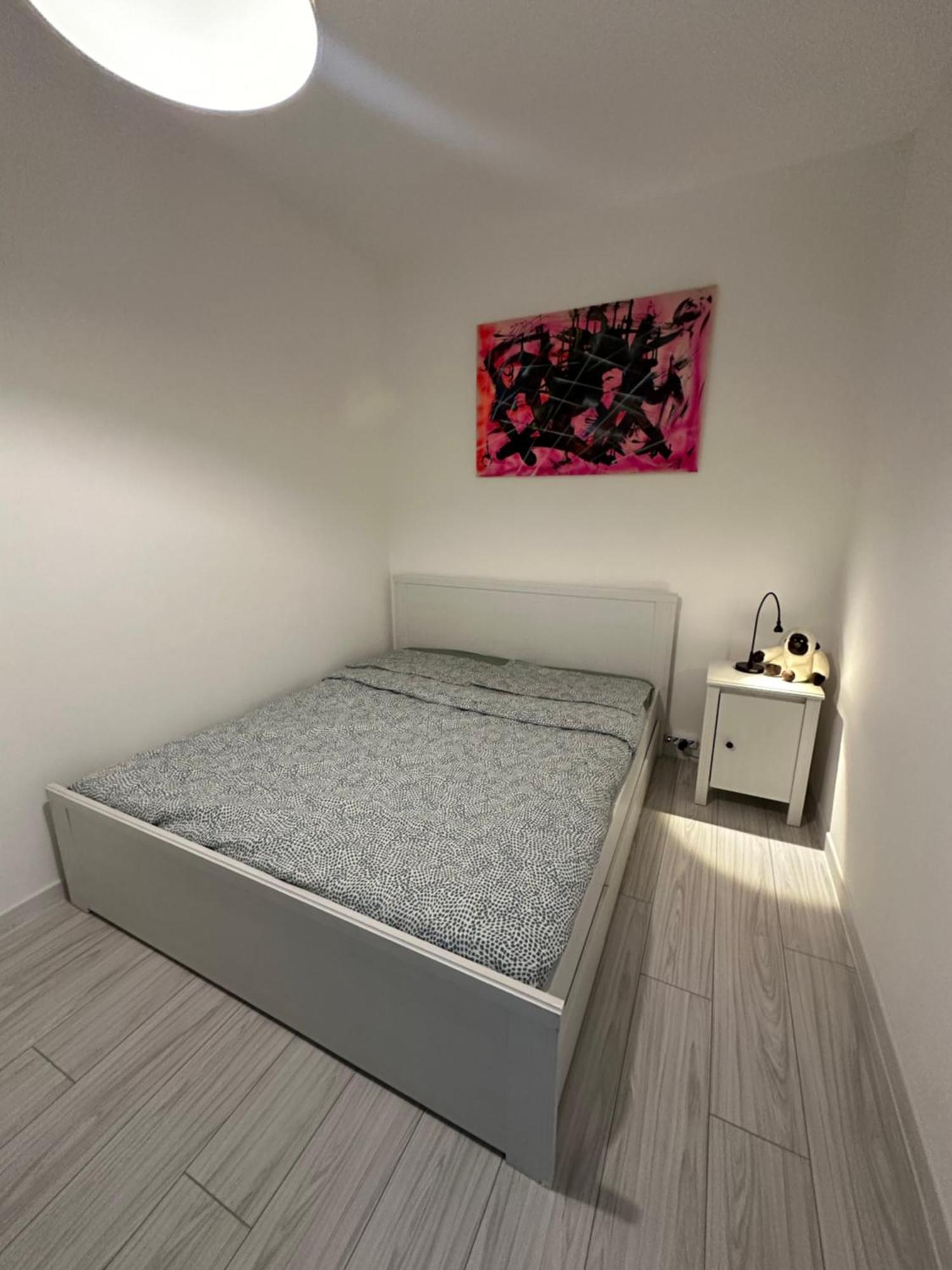 B&B Luna Rosa Pisa Eksteriør billede
